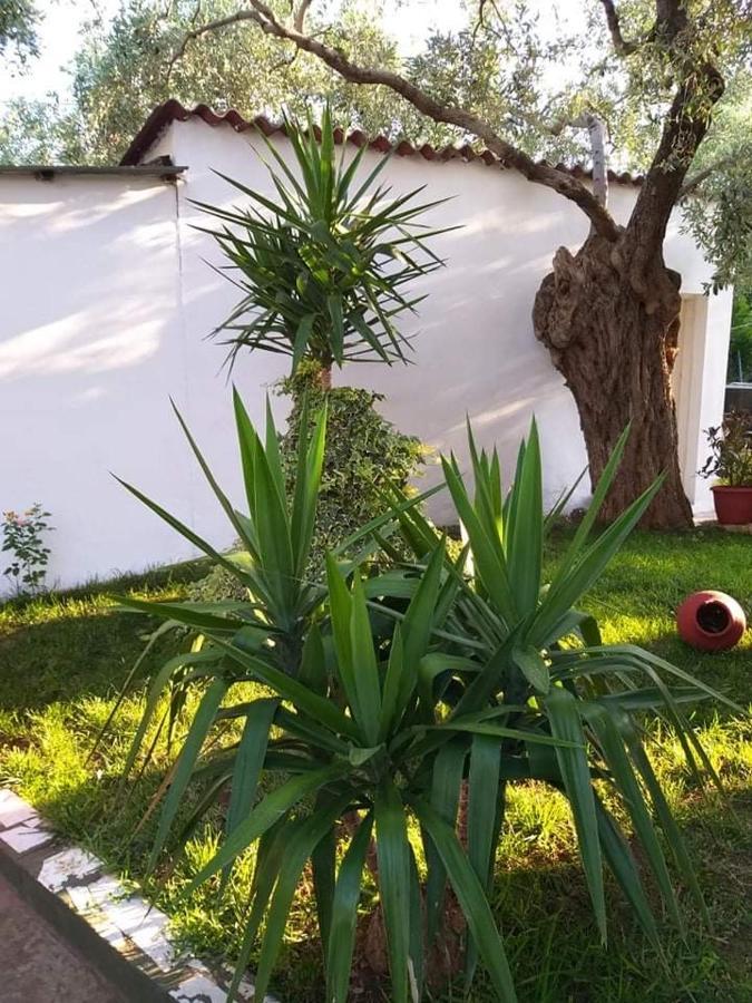 Valia House Thassos Apartment Skala Kallirakhis Luaran gambar