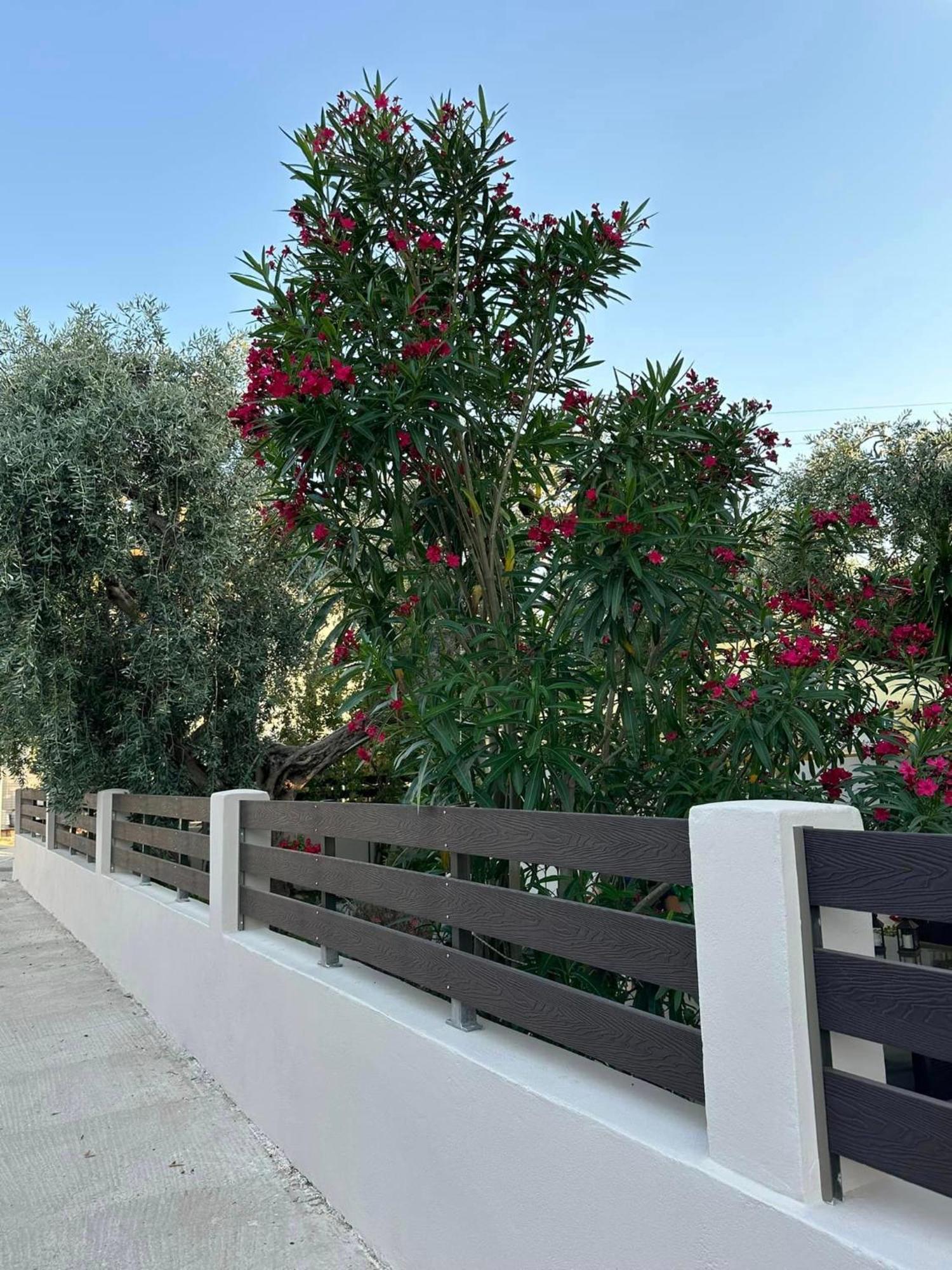 Valia House Thassos Apartment Skala Kallirakhis Luaran gambar