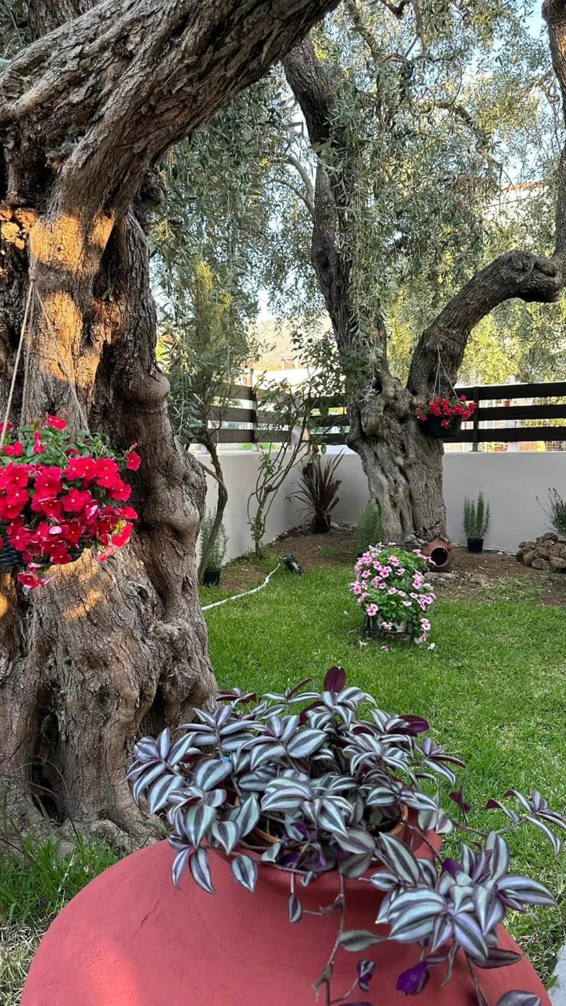 Valia House Thassos Apartment Skala Kallirakhis Luaran gambar
